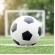 Bola de Futebol - Apenas Exemplo